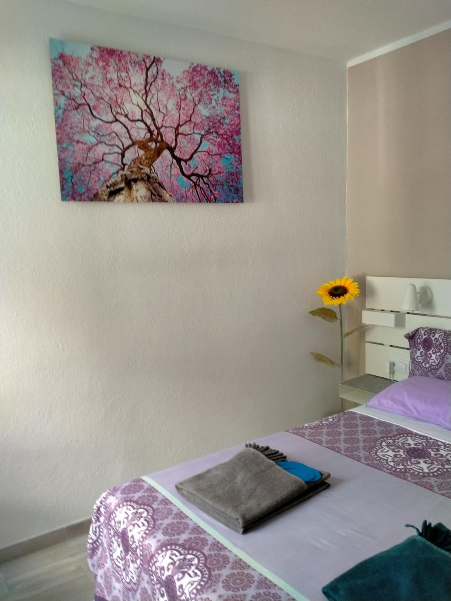 Apartmán La Casa De Marcoq Costa Calma Exteriér fotografie